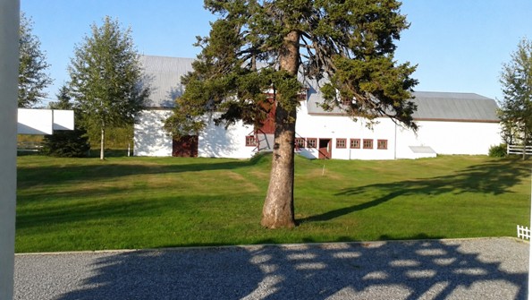 epinette